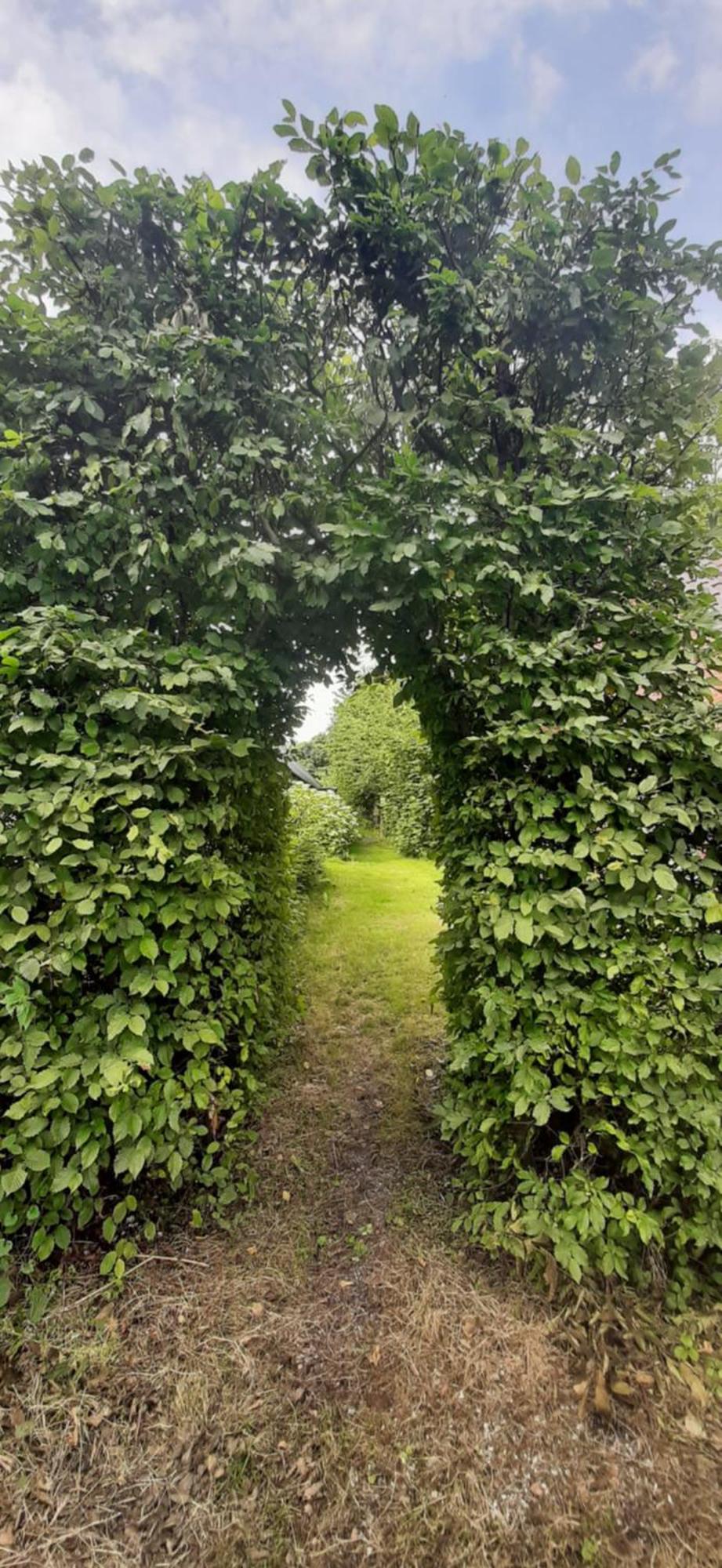 Tobornottob Villa Oosternijkerk Eksteriør bilde