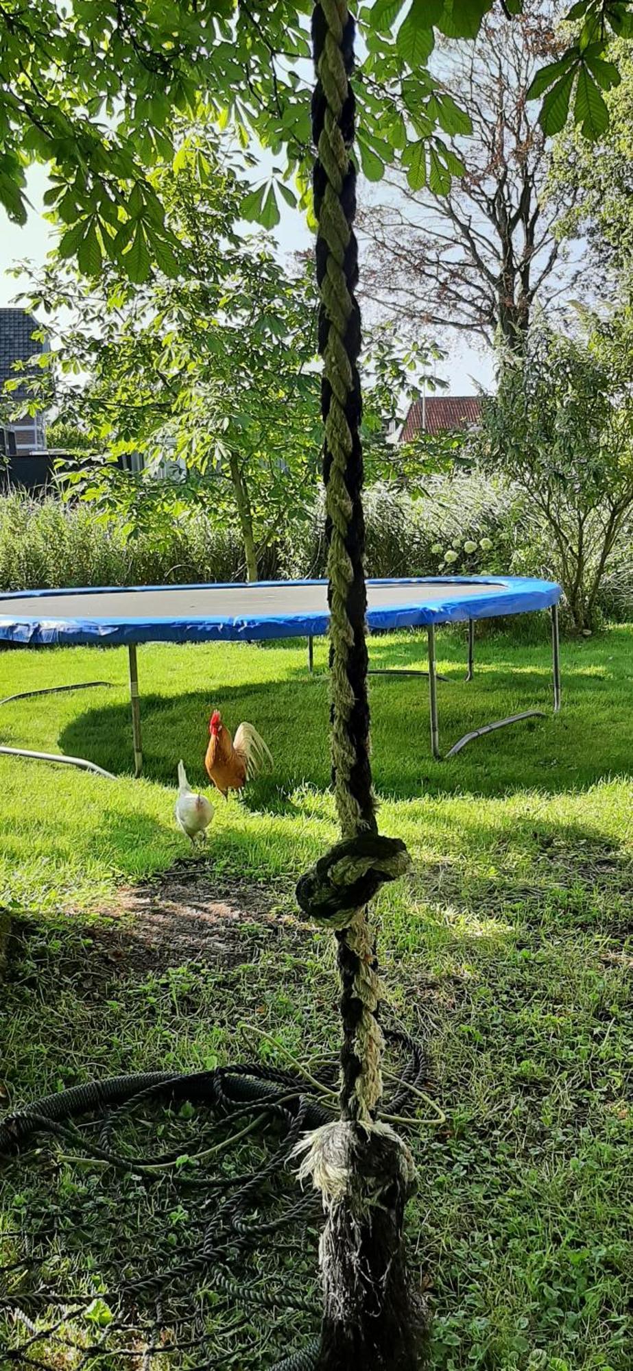 Tobornottob Villa Oosternijkerk Eksteriør bilde